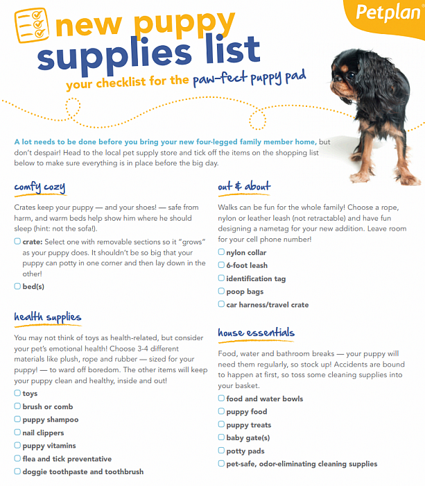 Puppy Must Haves Shopping List - Erin Lives Whole